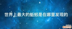 世界上最大的蚯蚓是在哪里发现的