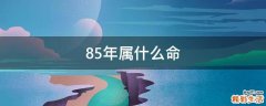 85年属什么命