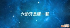 六龄牙是哪一颗