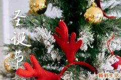 200句 圣诞节走心文案