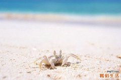6种美白护肤水果 越吃越美丽