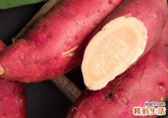 红薯发芽可以吃吗 长芽的红薯含毒吗