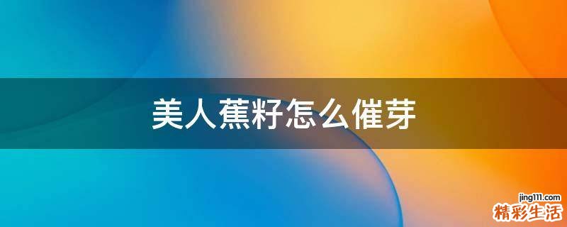 美人蕉籽怎么催芽