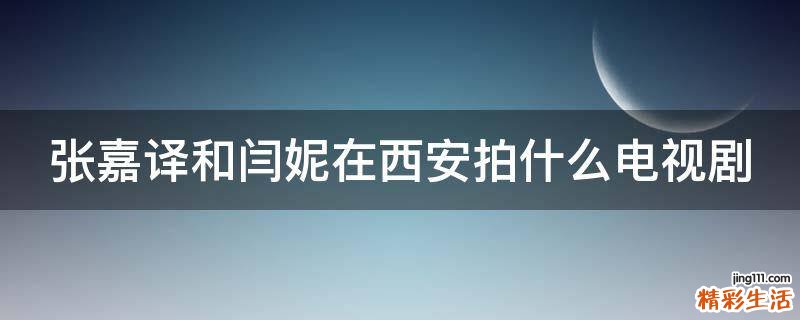 张嘉译和闫妮在西安拍什么电视剧