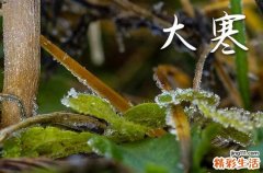 大寒节气文案说说精选203句