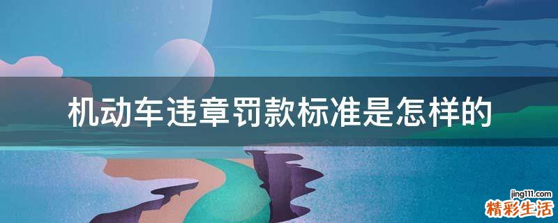 机动车违章罚款标准是怎样的