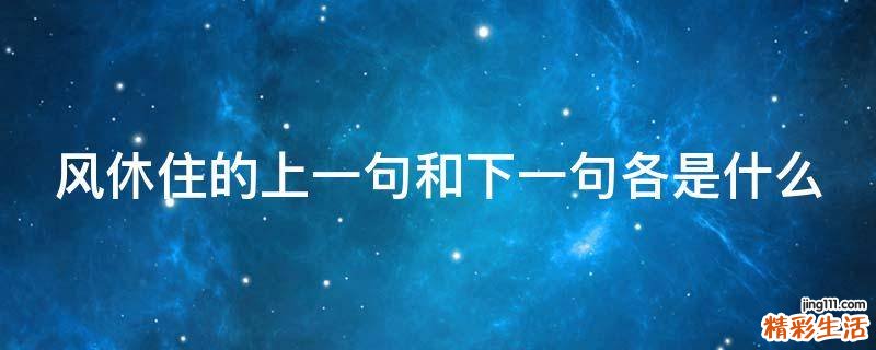 风休住的上一句和下一句各是什么