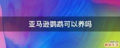 亚马逊鹦鹉可以养吗