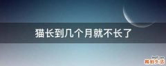 猫长到几个月就不长了