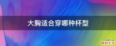 大胸适合穿哪种杯型