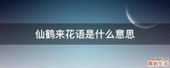仙鹤来花语是什么意思