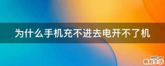 为什么手机充不进去电开不了机