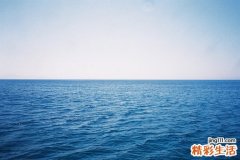 老人吃什么零食好