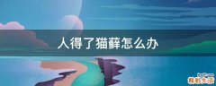 人得了猫藓怎么办