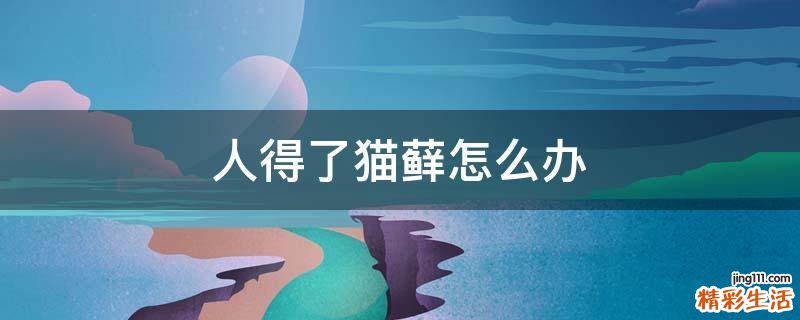 人得了猫藓怎么办