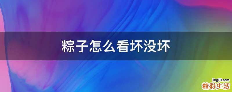 粽子怎么看坏没坏