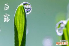 2023年白露是哪天,2023白露节气是在几月几日几点