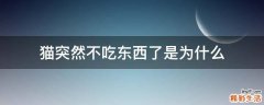 猫突然不吃东西了是为什么