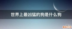 世界上最凶猛的狗是什么狗