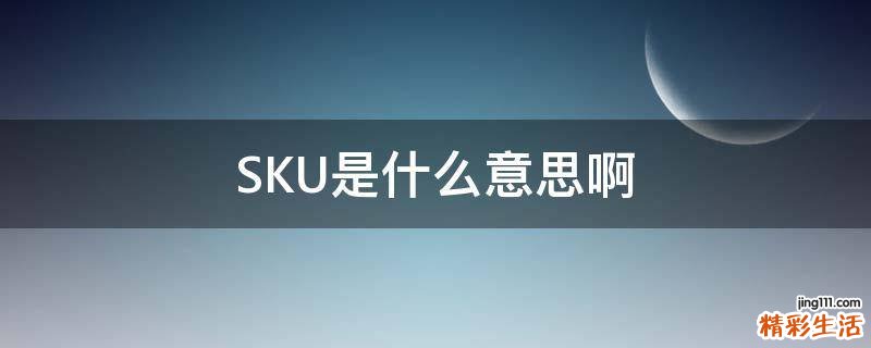 SKU是什么意思啊