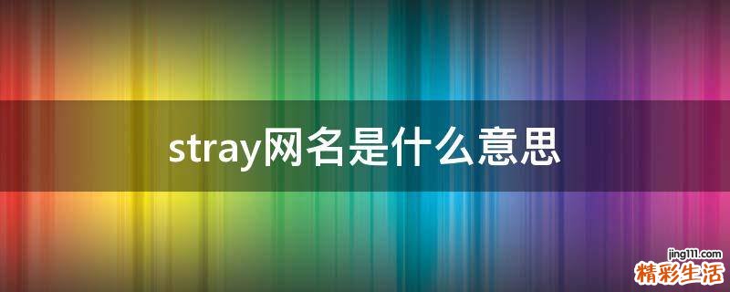 stray网名是什么意思