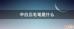 中白云毛笔是什么