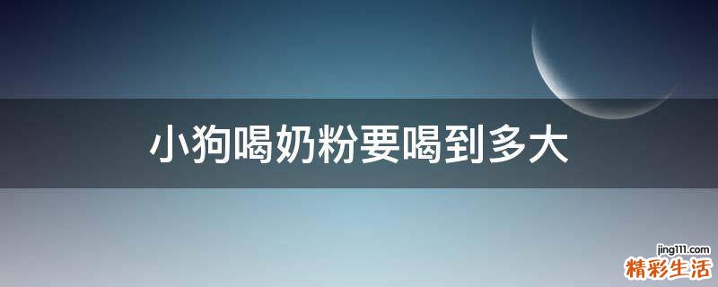 小狗喝奶粉要喝到多大