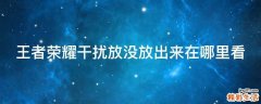 王者荣耀干扰放没放出来在哪里看