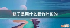 粽子是用什么箬竹叶包的