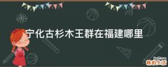 宁化古杉木王群在福建哪里
