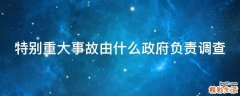 特别重大事故由什么政府负责调查