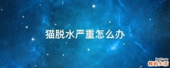猫脱水严重怎么办