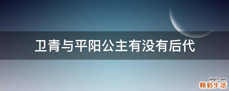 卫青与平阳公主有没有后代