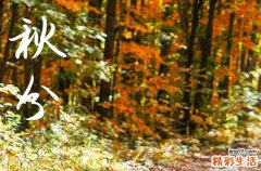 2023年秋分是几月几日日几点