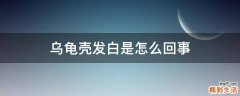 乌龟壳发白是怎么回事