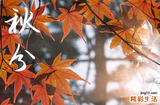 2023年秋分下雨好吗