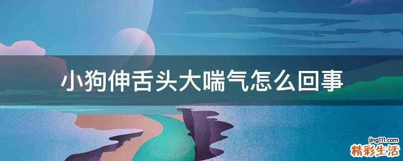 小狗伸舌头大喘气怎么回事
