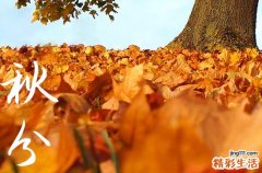 2023秋分穿什么衣服 南北方秋分时节女生穿衣推荐