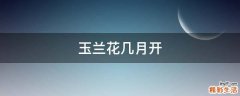 玉兰花几月开