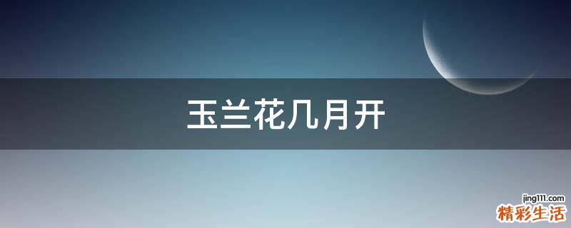 玉兰花几月开