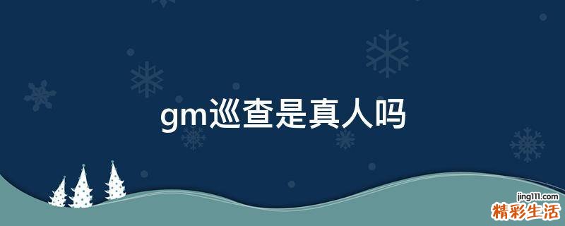 gm巡查是真人吗