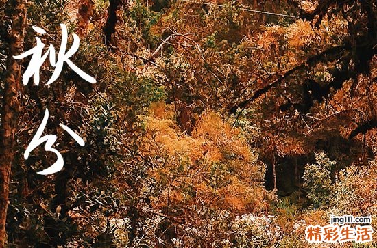 2023年秋分养生注意什么 秋分季节养生吃什么