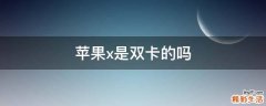 苹果x是双卡的吗