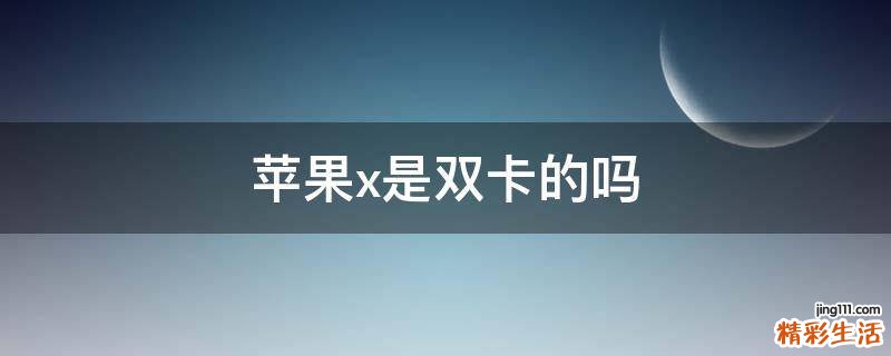 苹果x是双卡的吗