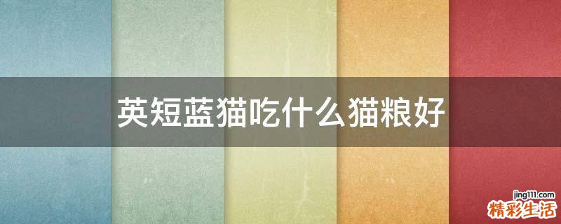 英短蓝猫吃什么猫粮好
