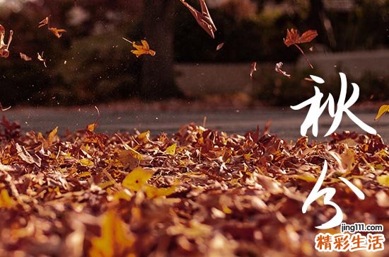 2023年秋分适合喝什么茶 2023年秋分适合喝柚子茶