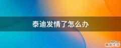 泰迪发情了怎么办
