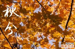 2023年秋分当天能结婚办酒席吗 2023年的秋分后有冷空气吗