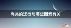 鸟类的迁徙与哪些因素有关