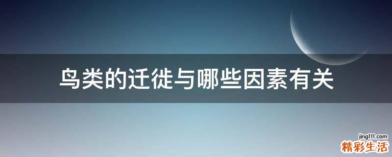 鸟类的迁徙与哪些因素有关